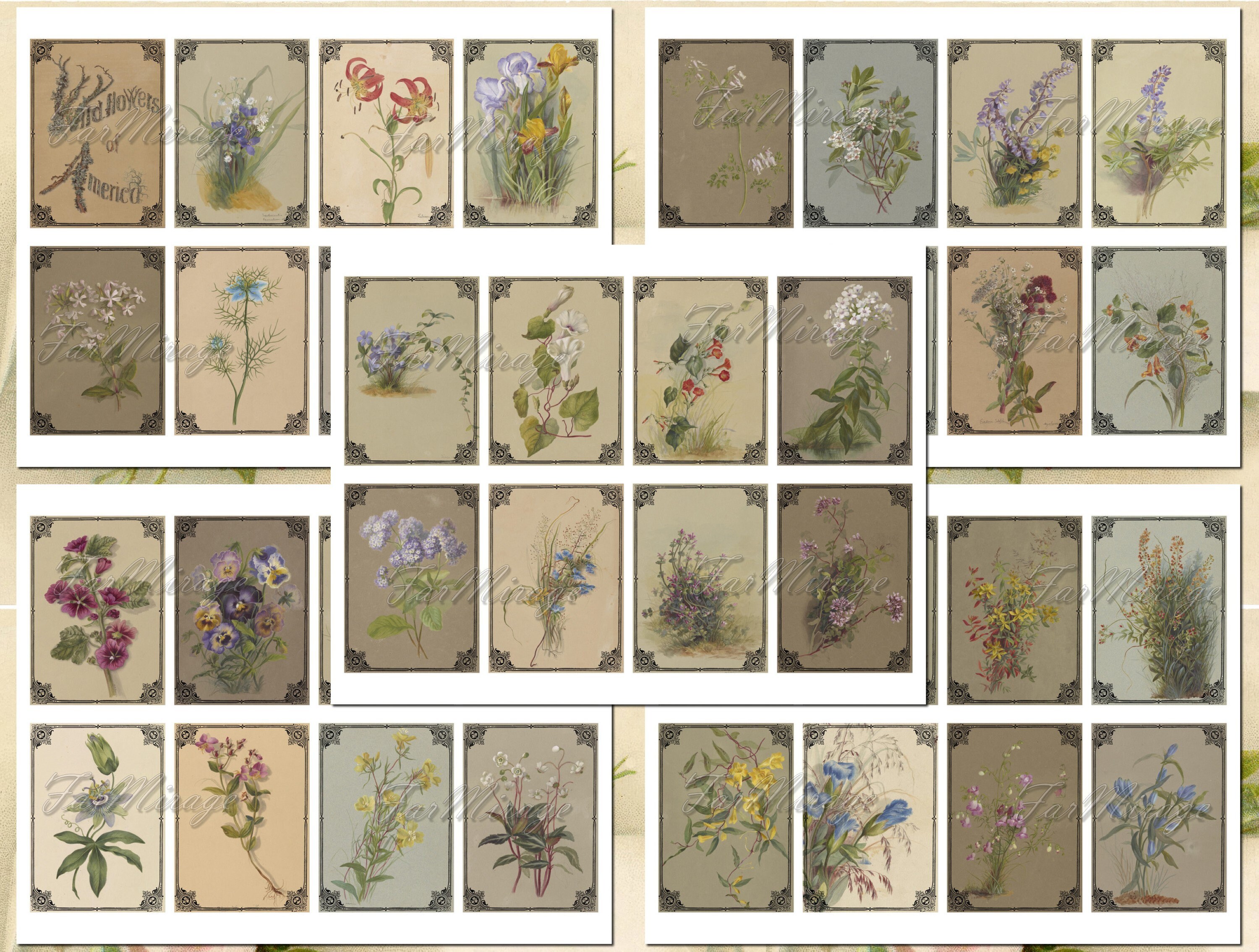 WILD FLOWERS of AMERICA Set 1 digital collage sheet 40 atc Etsy