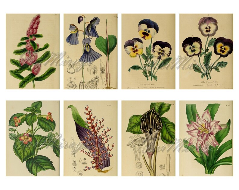 digital collage sheet 40 atc cards Printable Instant Download Image Digital Cards Tags vintage journals kit floral ADORABLE FLOWERS Set #3