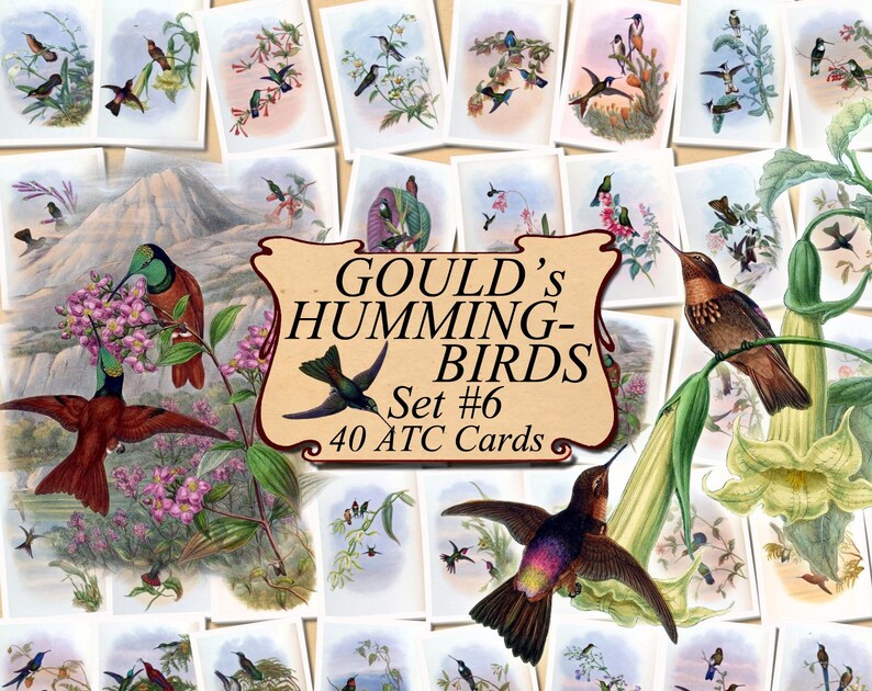 digital collage sheet 40 ATC cards Printable Instant Download Image Digital Cards Tags vintage image John book GOULD/'s HUMMINGBIRDS Set #6