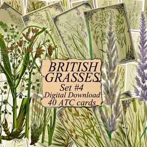 The FLORA of the ALPS Set #2 digital collage sheet 40 ATC cards Printable Instant Download Image Digital Cards Tags vintage journals kit