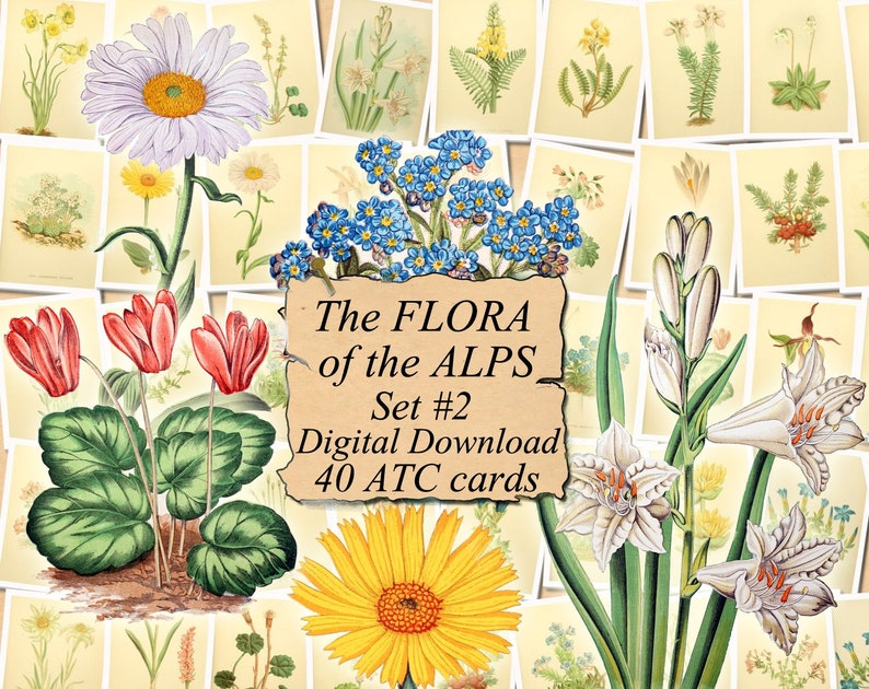 The FLORA of the ALPS Set #2 digital collage sheet 40 ATC cards Printable Instant Download Image Digital Cards Tags vintage journals kit