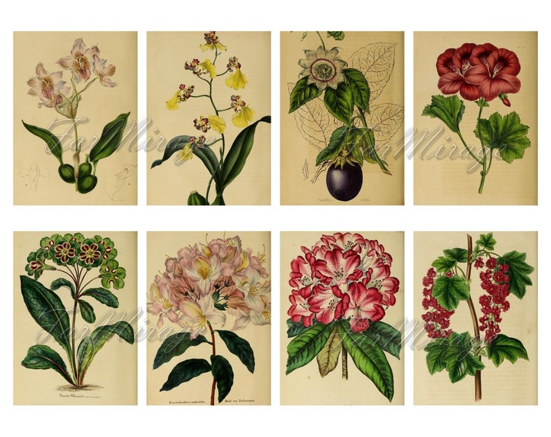 digital collage sheet 40 atc cards Printable Instant Download Image Digital Cards Tags vintage journals kit floral ADORABLE FLOWERS Set #3