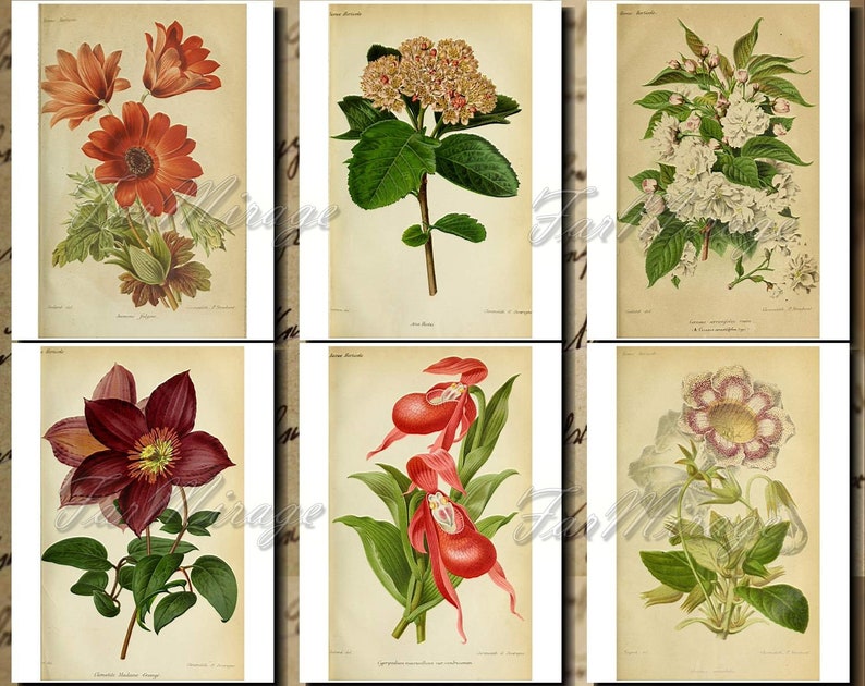 BOTANICALS Pastel-25 Set Digital Collage Pack 54 Instant Download Ephemera Pack journal cards paper pack junk journal kit Printable Ephemera