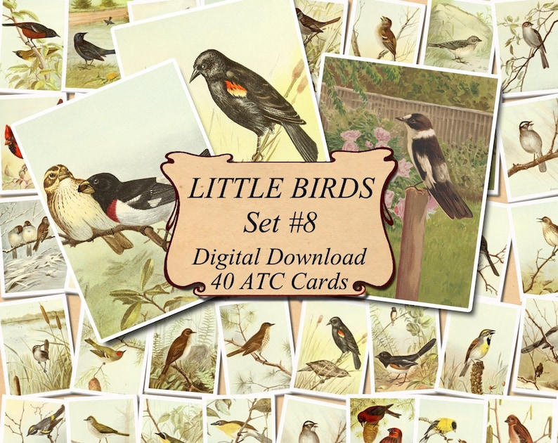 Printable Gift Tags Vintage Birds Printable Digital Download bird images 2 x 3.5