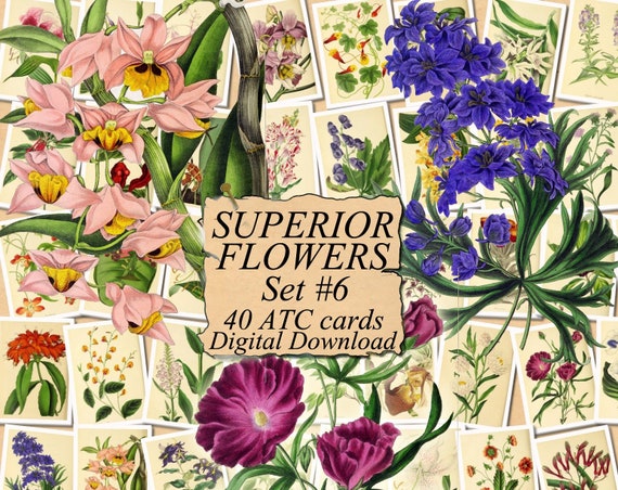 digital collage sheet 40 atc cards Printable Instant Download Image Digital Cards Tags vintage journals kit floral ADORABLE FLOWERS Set #3