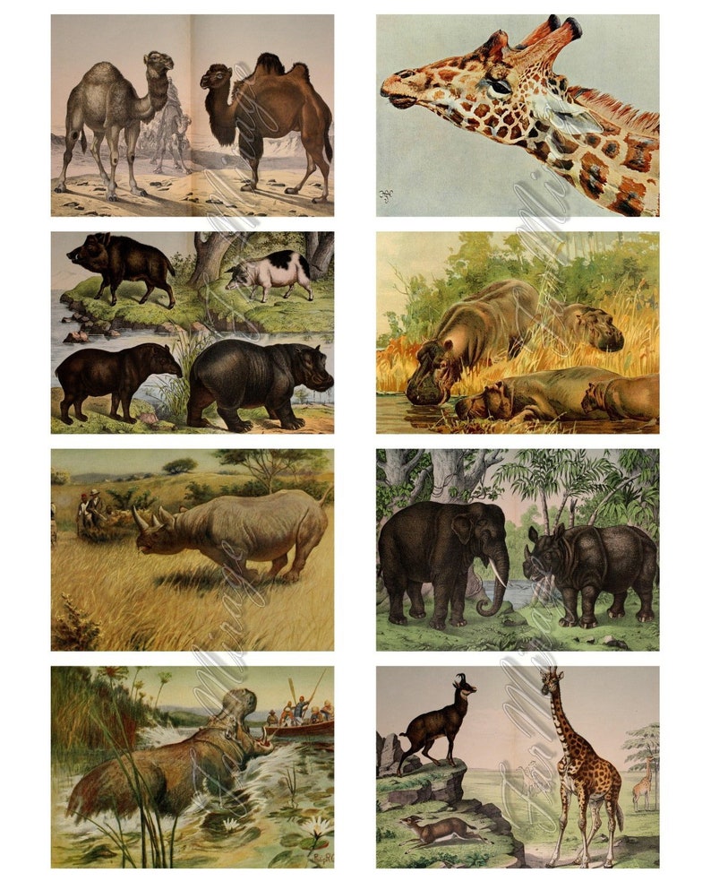 GIANT MAMMALS Digital Collage Sheet 40 ATC Cards Printable | Etsy