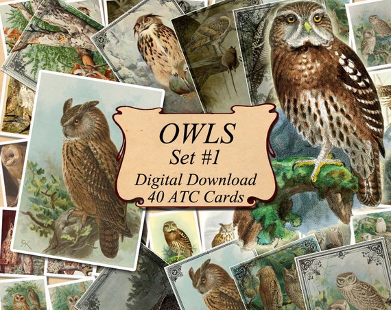 OWLS Set #3 digital collage sheet 40 ATC cards Printable Instant Download Image Digital Cards Tags vintage image bird Owl strix otus scops