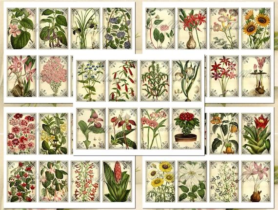 digital collage set of 6 bookmarks Botanical Bookmarks printable JPG file