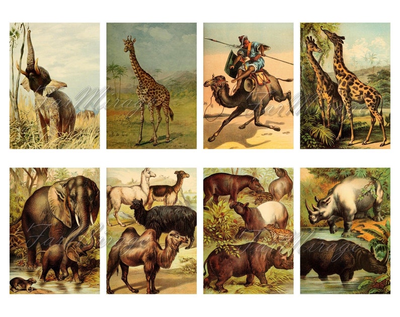 GIANT MAMMALS Digital Collage Sheet 40 ATC Cards Printable | Etsy