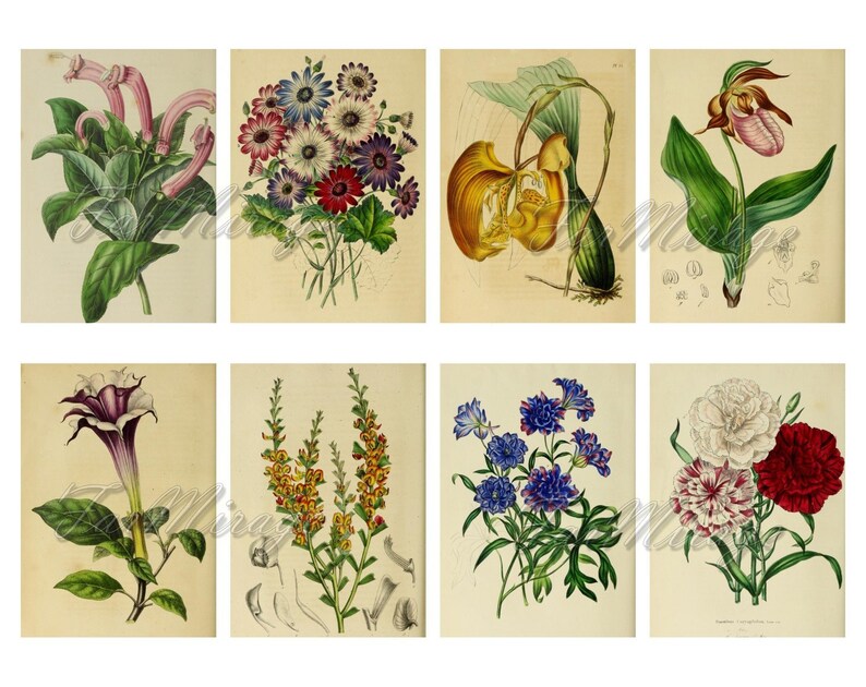 digital collage sheet 40 atc cards Printable Instant Download Image Digital Cards Tags vintage journals kit floral ADORABLE FLOWERS Set #3