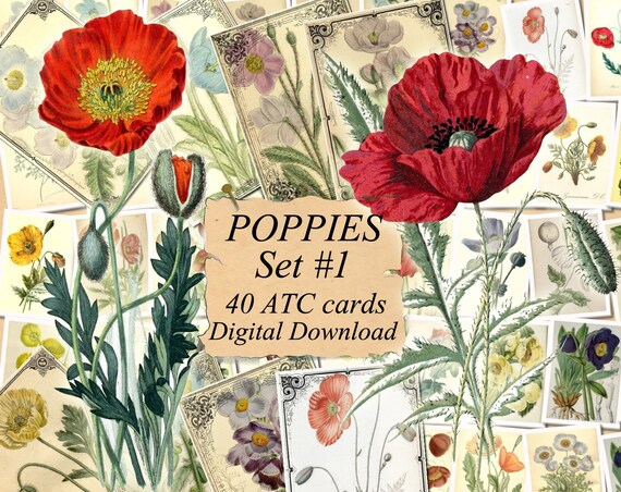 POPPIES Set 1 Digital Collage Sheet 40 ATC Cards Printable | Etsy