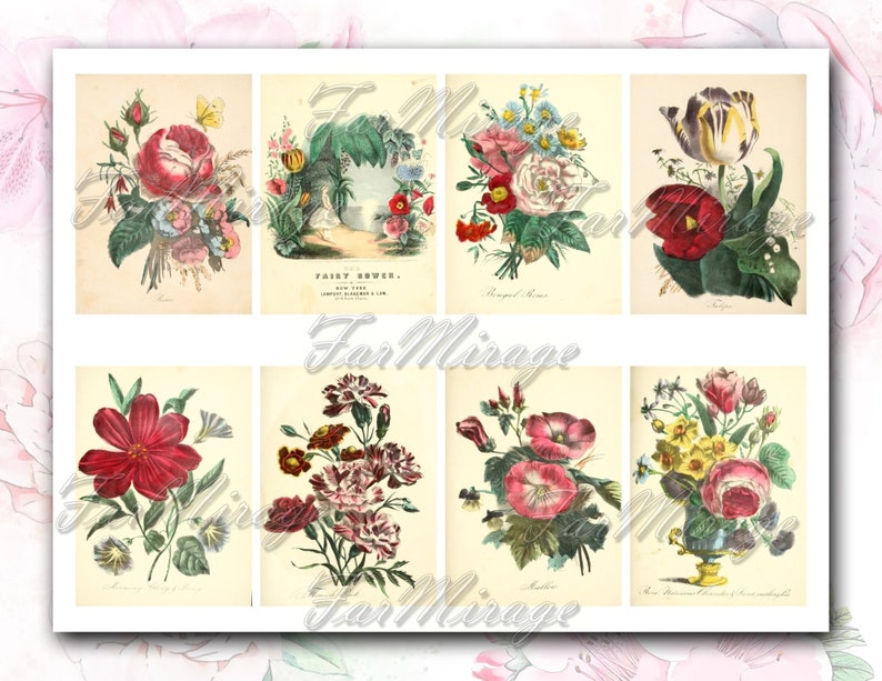 set of 9 old illustrations prints sheets paper vintage book picture images pages 8.5x11 floral botanical flowers blossoms FLORA/'S GEM