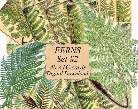 The FLORA of the ALPS Set #2 digital collage sheet 40 ATC cards Printable Instant Download Image Digital Cards Tags vintage journals kit