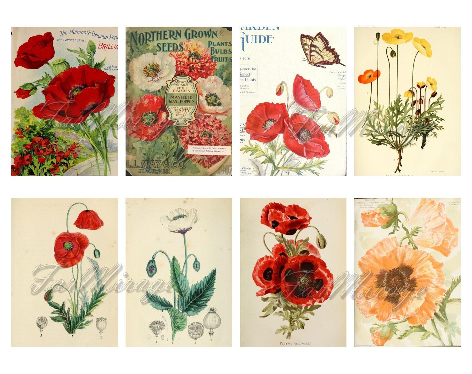 POPPIES Set 2 digital collage sheet 40 ATC cards Printable | Etsy