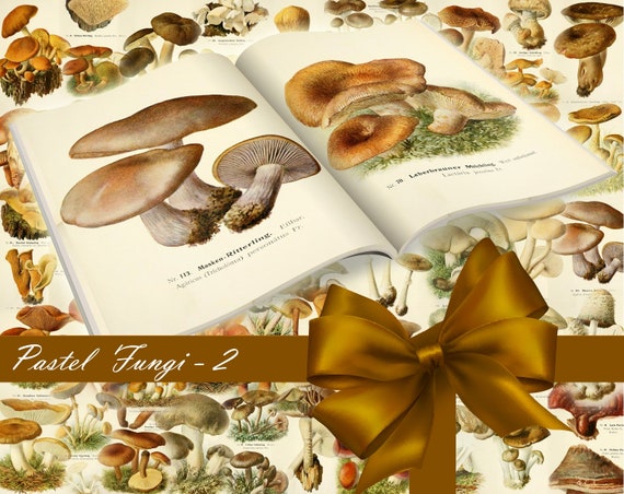 Pastel FUNGI-7 Set Digital Print A4 Collage Pack 54 Instant Download Ephemera Pack journal paper pack junk journal kit Printable Ephemera