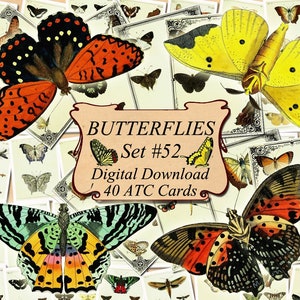 Download Paper Party Kids Digital Watercolour Vintage Butterfly Png Files Palaisfleurvintage Floral Clip Art Hand Painted Watercolor Clip Art Rainbow Butterflies Paper