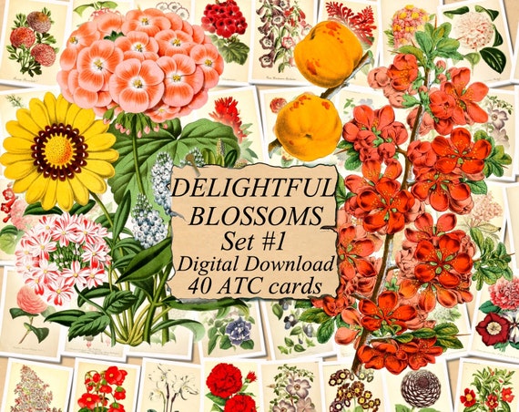 digital collage sheet 40 atc cards Printable Instant Download Image Digital Cards Tags vintage journals kit floral ADORABLE FLOWERS Set #3