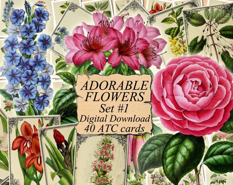 ADORABLE FLOWERS Set 1 digital collage sheet 40 atc cards Etsy