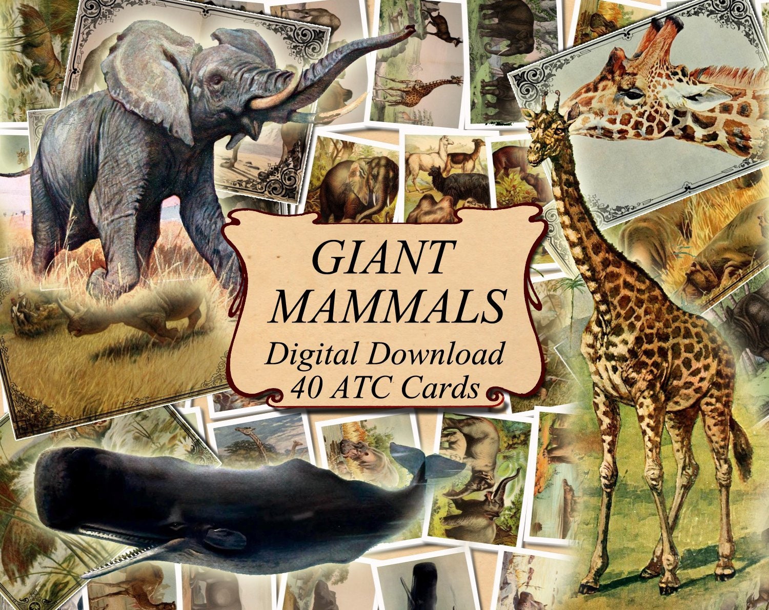 GIANT MAMMALS digital collage sheet 40 ATC cards Printable | Etsy