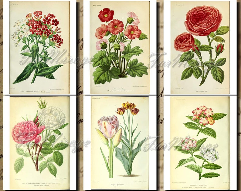 BOTANICALS Pastel-25 Set Digital Collage Pack 54 Instant Download Ephemera Pack journal cards paper pack junk journal kit Printable Ephemera