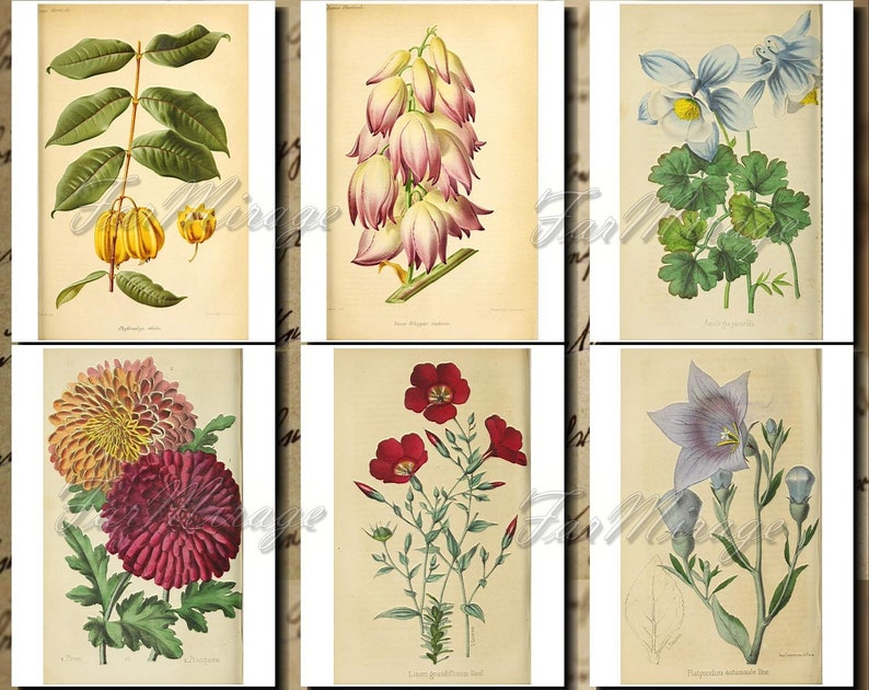 BOTANICALS Pastel-25 Set Digital Collage Pack 54 Instant Download Ephemera Pack journal cards paper pack junk journal kit Printable Ephemera