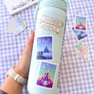 May include: A light blue reusable water bottle with a white sticker that says "Disney Adult" and other stickers with images of fireworks and Cinderella's castle.