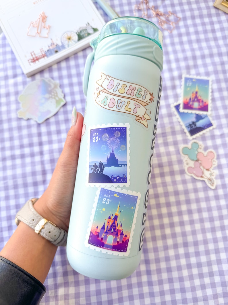May include: A light blue reusable water bottle with a white sticker that says "Disney Adult" and other stickers with images of fireworks and Cinderella's castle.