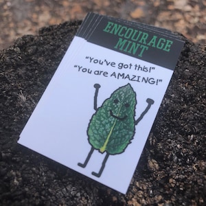 ENCOURAGE MINT-kaarten, 2 x 3,5" - dubbelzijdig