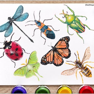 Watercolor bugs clipart - Watercolor Insect Clipart - Butterfly Watercolor Clipart - Dragonfly Clipart