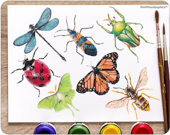Clipart di insetti dell'acquerello - Clipart di insetti dell'acquerello - Clipart di acquerello di farfalla - Clipart di libellula