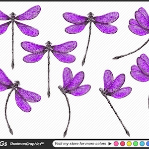 Purple Dragonflies watercolor Clipart PNG - Dragon Fly Clipart
