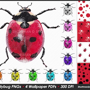 Ladybug Watercolor Clipart & Wallpaper PDF - Pink - White - Purple - Blue - Green - Yellow - Orange