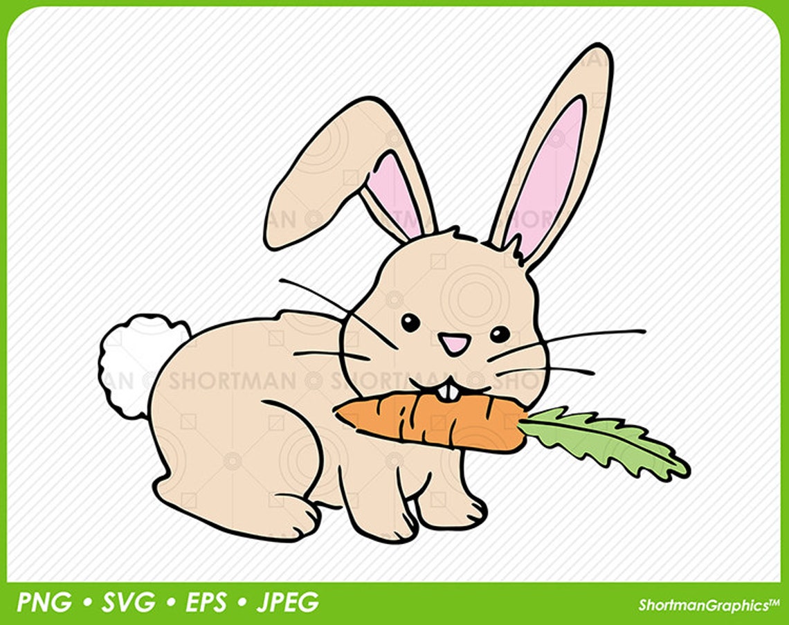 Hase mit Karotte Clipart Ostern SVG PNG - Etsy.de