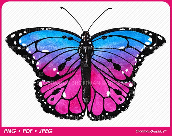 c*n様 POTETE butterfly clip pink✖️blue バタ butterfly clip pink×blue – POTETE