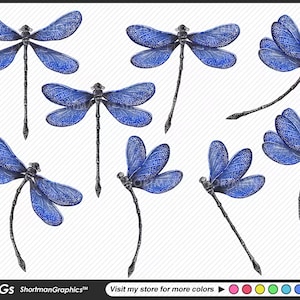 Blue Dragonflies watercolor Clipart PNG - Dragon Fly Clipart