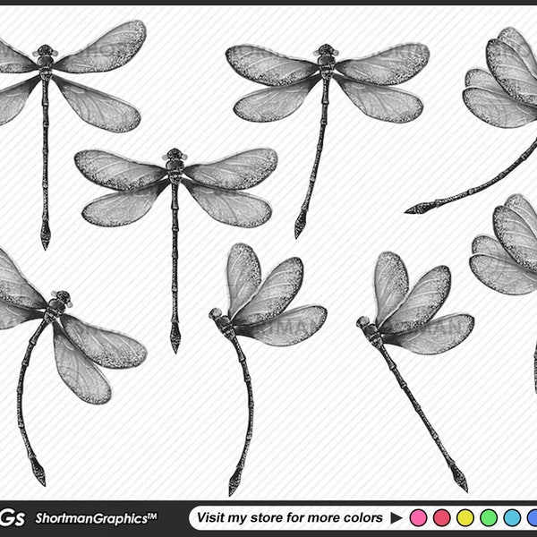 White Dragonflies watercolor Clipart PNG - Dragon Fly Clipart