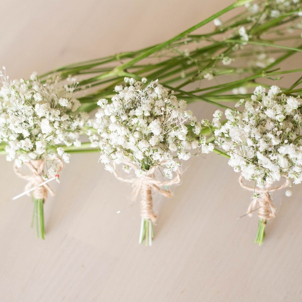 Dried Babies Breath Flowers Boutonniere / Men's Rustic Buttonhole / Groom and Groomsmen Wedding Accessories / White Prom Baby's breath