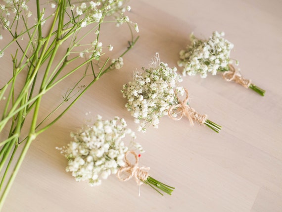 Dried Babies Breath Flowers Boutonniere / Men's Rustic Buttonhole / Groom  and Groomsmen Wedding Accessories / White Prom Baby's breath