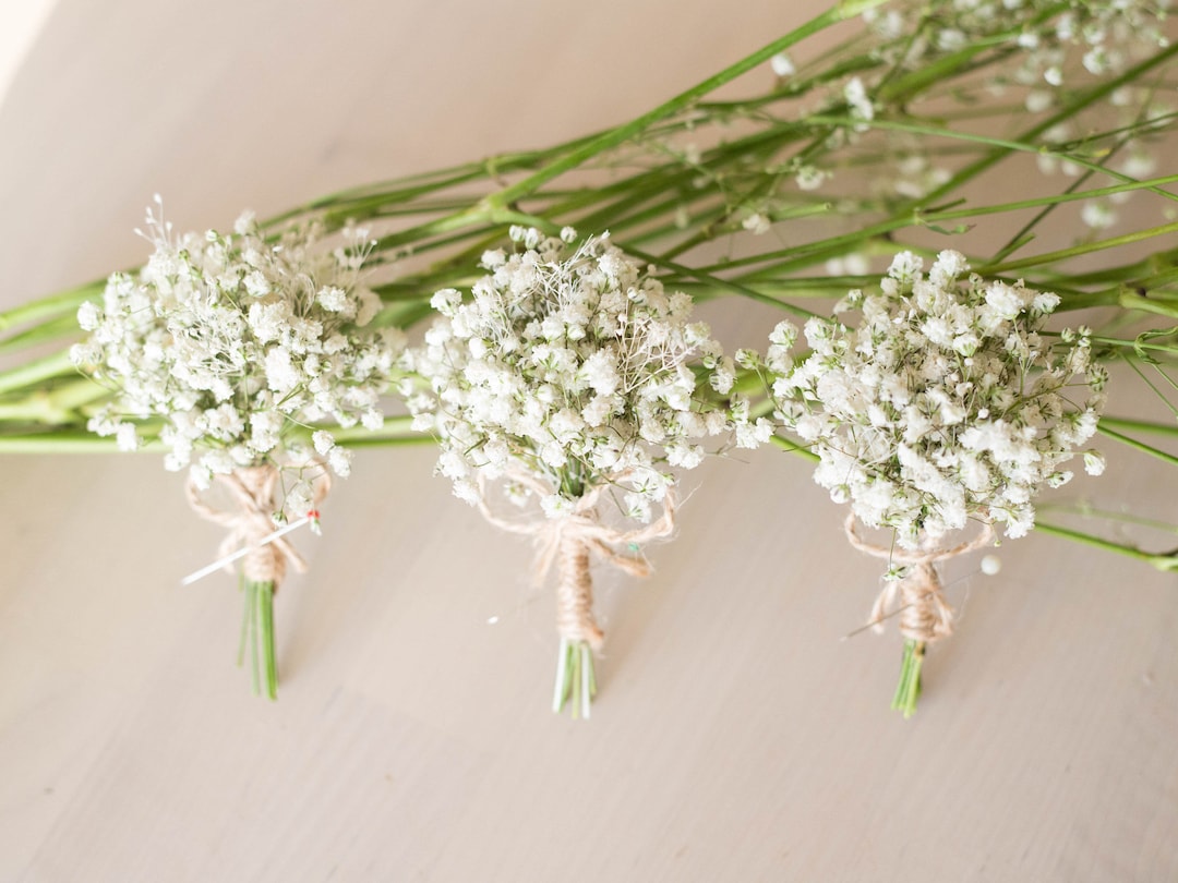 Dried Babies Breath Flowers Boutonniere / Men's Rustic - Etsy