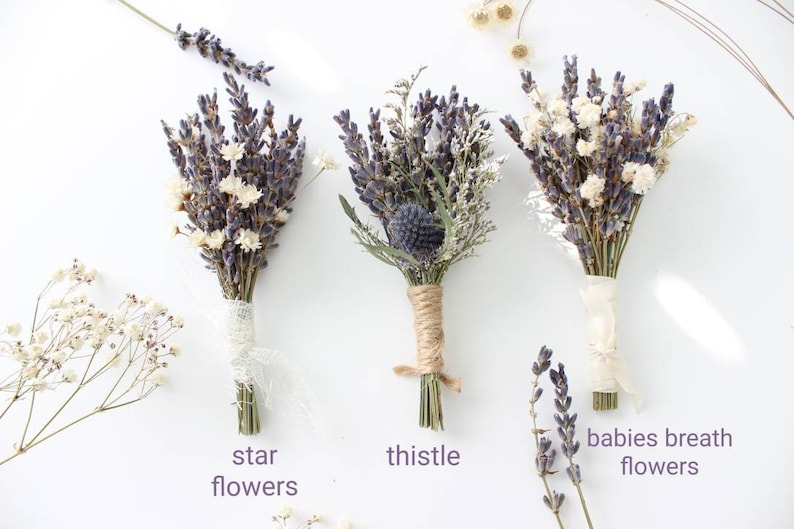 May include: Three small bouquets of dried flowers, each tied with a different ribbon. The bouquets are labeled "star flowers", "thistle", and "babies breath flowers".