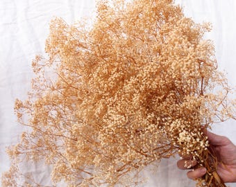 May include: A large bunch of dried baby's breath flowers in a light beige color. The flowers are arranged in a loose, natural style.
