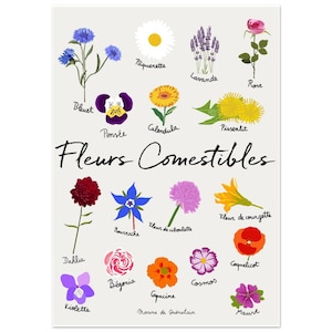 Affiche Illustrée &quot;Fleurs Comestibles&quot; – Par Marine de Quénetain