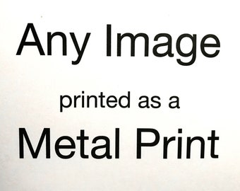 Any Image - Metal Print