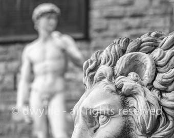David statue wall decor, Florence Italy, fine art black & white photograph