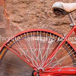 Bologna Fahrrad