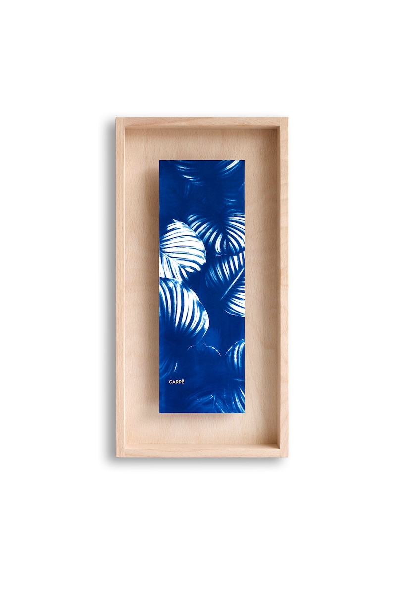swabdesign – Cyanotype dans cadre en bois swabdesign – Cyanotype dans cadre en bois
