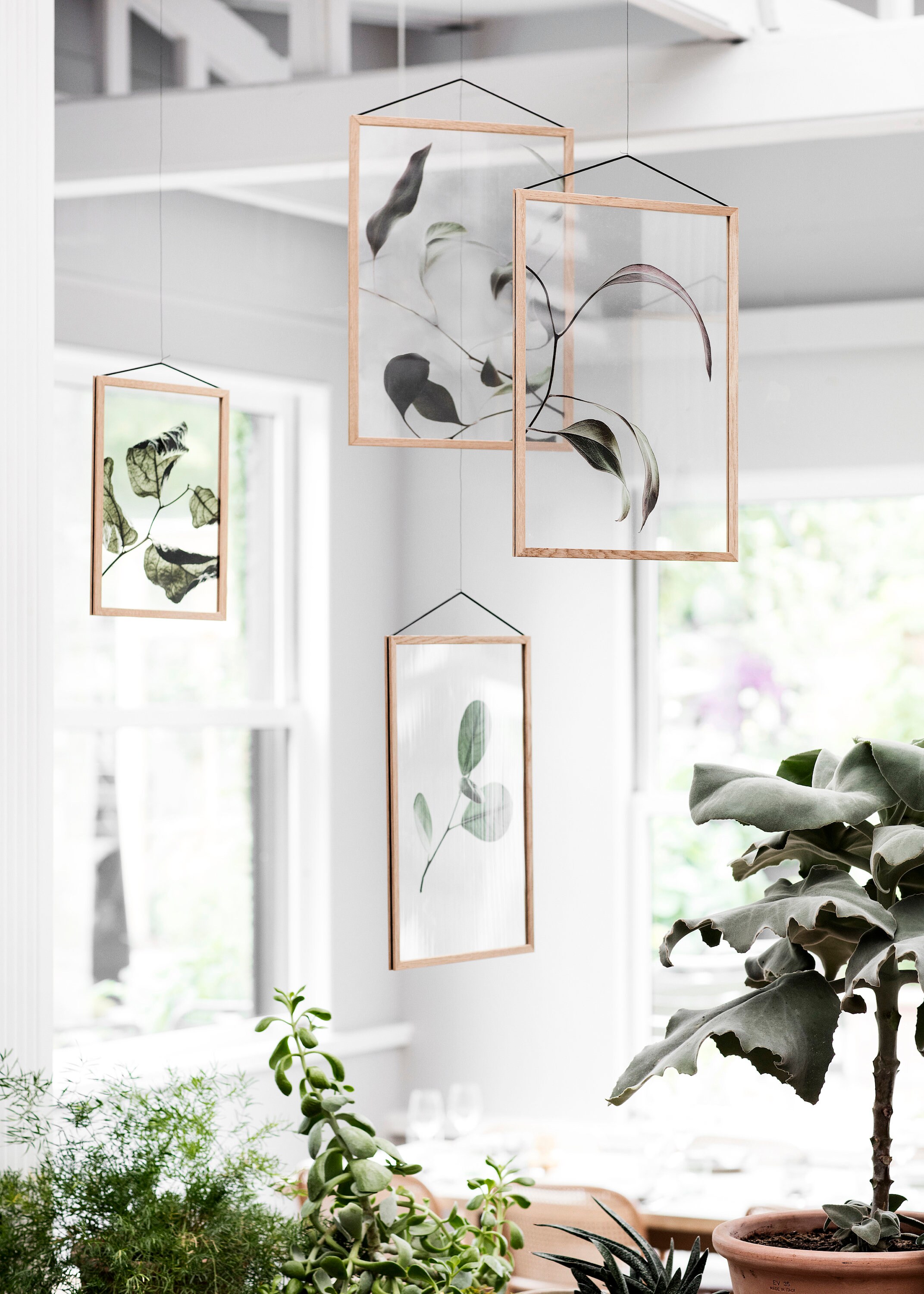 Cadre Bois, Cadre Photo Transparent, Bohème, en Bois de Chêne avec Plexiglass