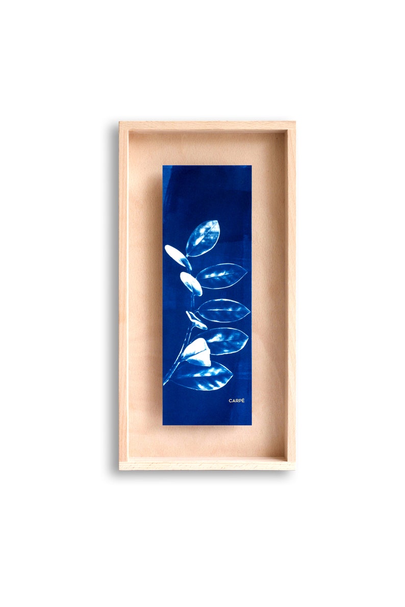 swabdesign – Cyanotype dans cadre en bois swabdesign – Cyanotype dans cadre en bois