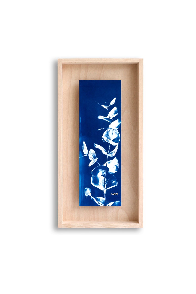 swabdesign – Cyanotype dans cadre en bois swabdesign – Cyanotype dans cadre en bois
