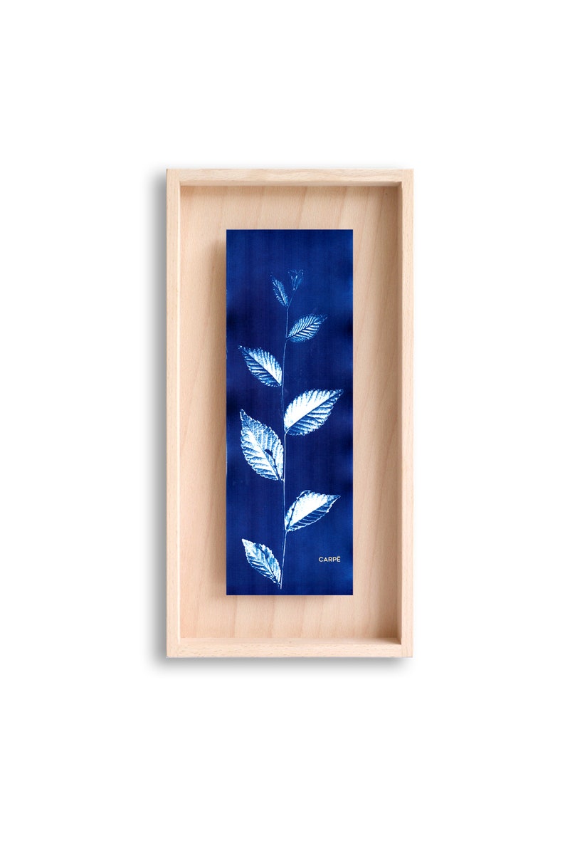 swabdesign – Cyanotype dans cadre en bois swabdesign – Cyanotype dans cadre en bois